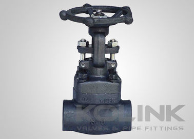 Kalıp çelik küre valfi SW Sonu NPT Filtred Class 800-2500