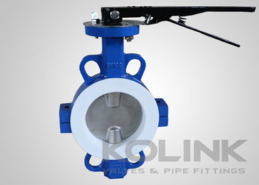 2pc PTFE oturmuş kelebek valfi Konsantrik, Wafer Lugged Flanged Yumuşak Demir