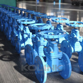 BS5163 Dayanıklı Oturulmuş Kapı Valfi Düktil Demir GGG40 GGG50